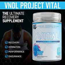 VNDL Project Vital -endurance