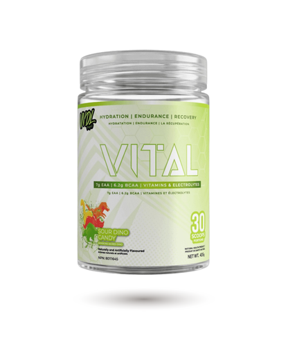 VNDL Project Vital -endurance