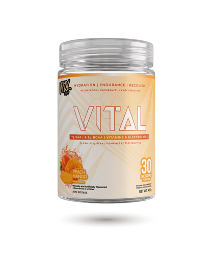 VNDL Project Vital -endurance