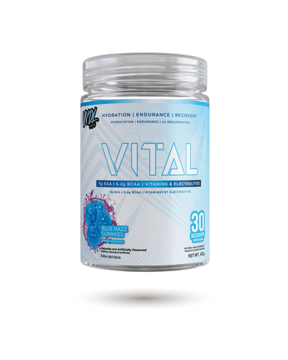 VNDL Project Vital -endurance   