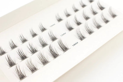 Premium Natural DIY Lash Extensions Kit