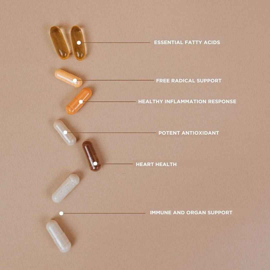 Revive Essential Vitamin Pack