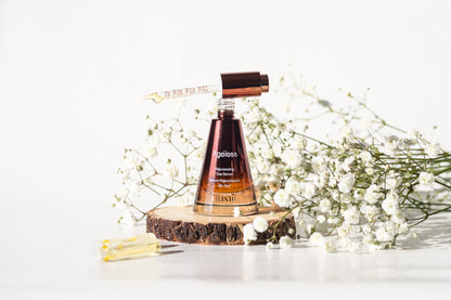 Day & Night Ritual Gift Set