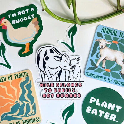 Milk Belongs to Babies, Not Humans - Vegan Baby Milk Sticker