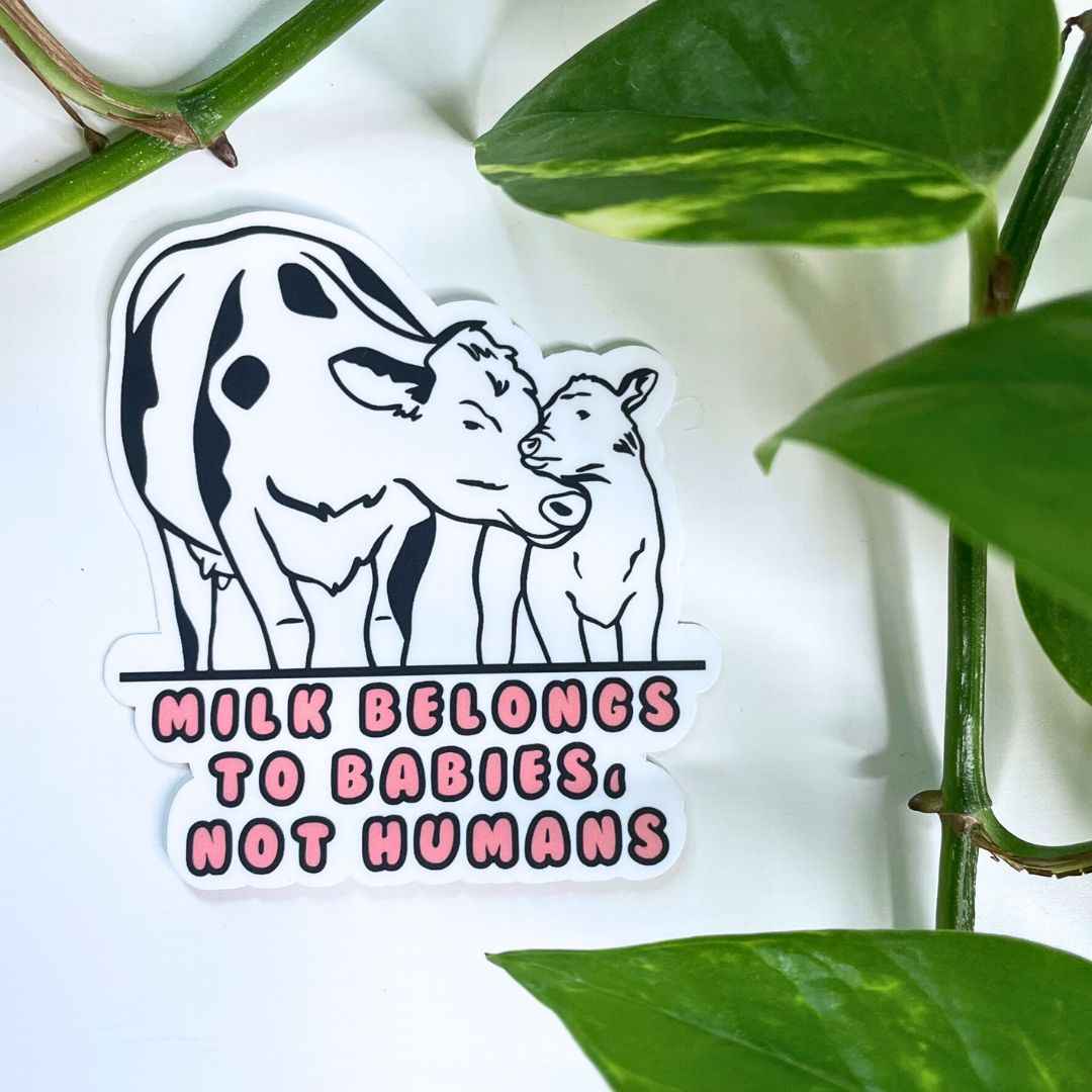 Milk Belongs to Babies, Not Humans - Vegan Baby Milk Sticker