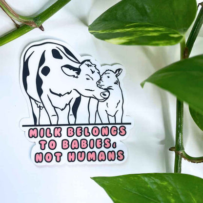 Milk Belongs to Babies, Not Humans - Vegan Baby Milk Sticker