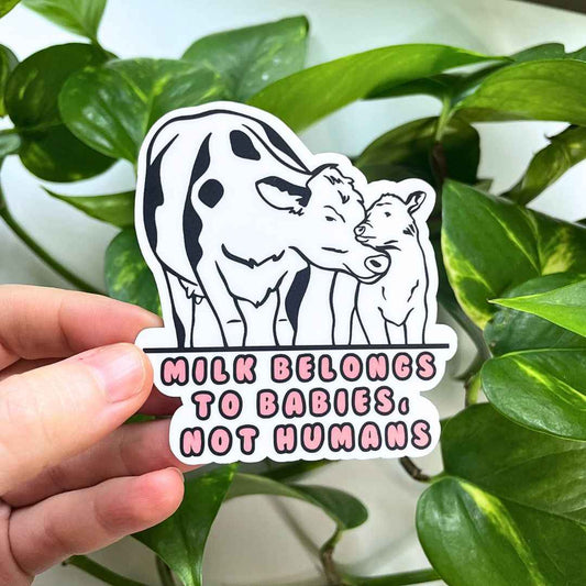 Milk Belongs to Babies, Not Humans - Vegan Baby Milk Sticker