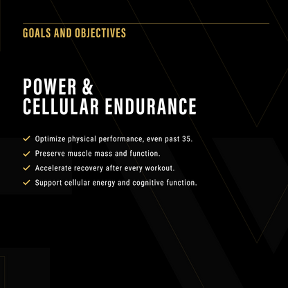 Creatine Supplement for Enhanced Performance and Muscle Growth