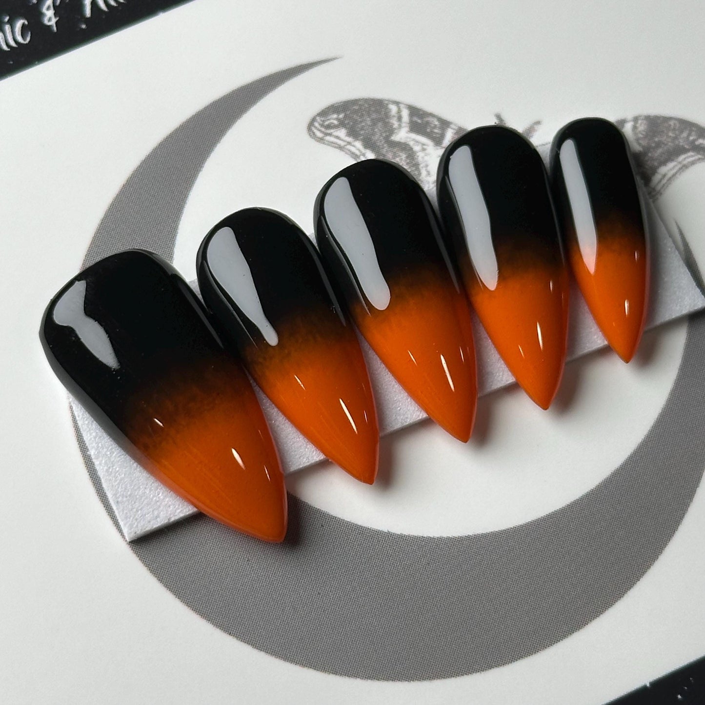 Autumn Eclipse