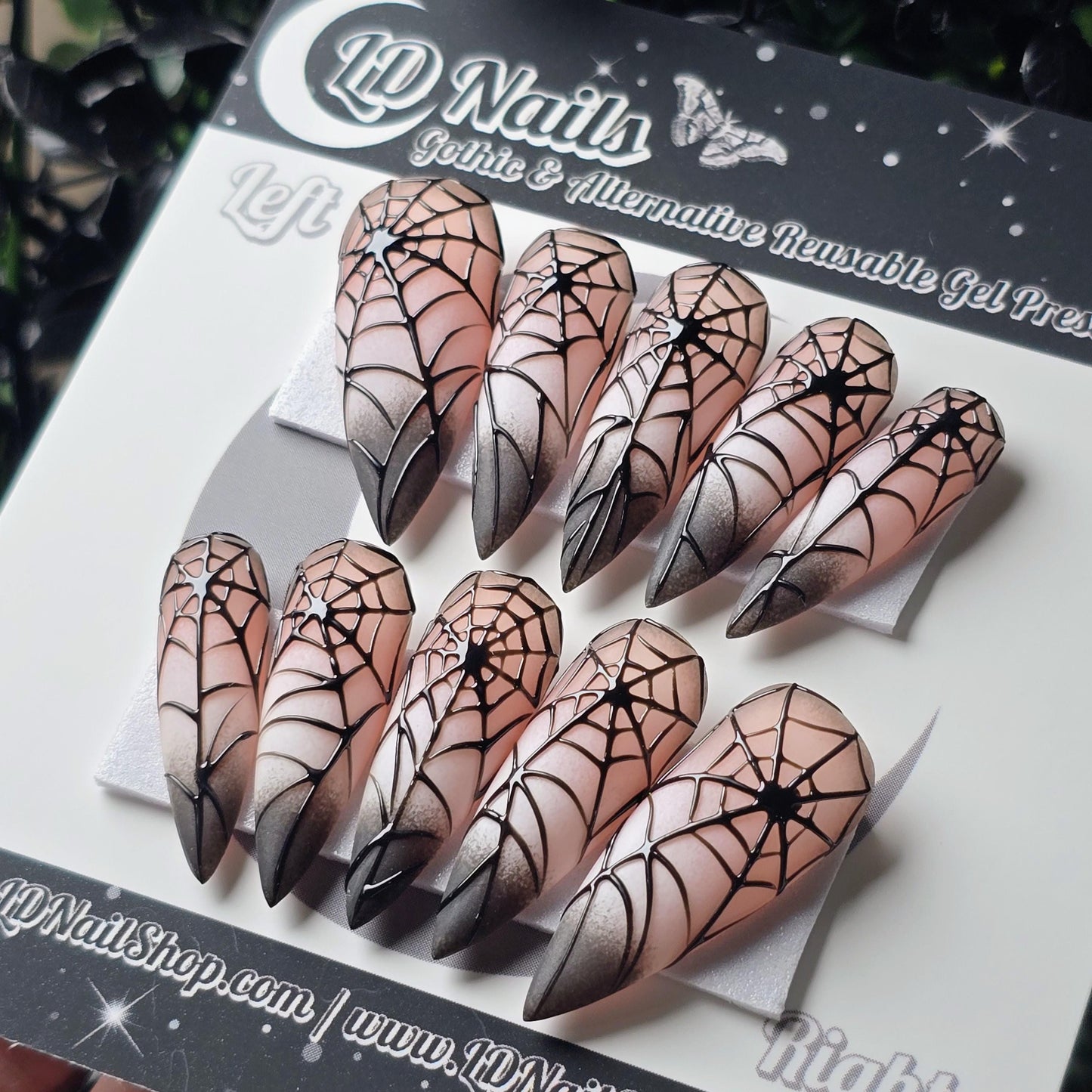 Cobweb Couture - Crypt Couture
