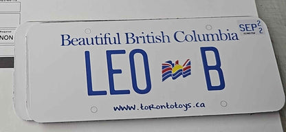 custom license plate for kids