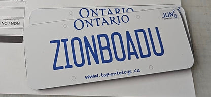 custom license plate for kids