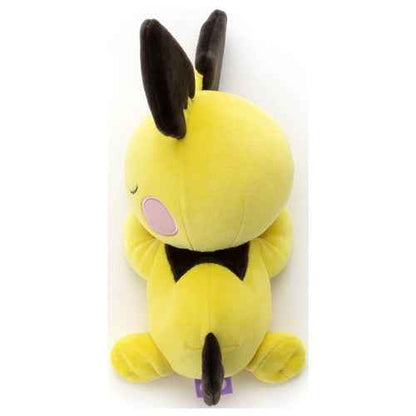 Pichu (Sleeping)